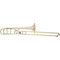 Eastman ETB828 Professional Series F-Attachment Trombone Lacquer Gold Brass BellLacquer Gold Brass Bell