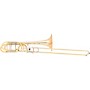 Eastman ETB848 Professional Series Bass Trombone Lacquer Gold Brass Bell