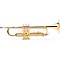 ETR-100 Series Student Bb Trumpet Level 2 Lacquer 888365411385