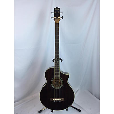 Ibanez EWB20WNET1201 Acoustic Bass Guitar