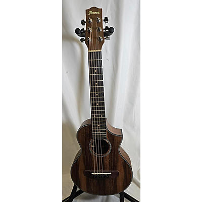 Ibanez EWP14 Acoustic Guitar