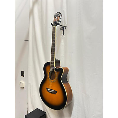 Washburn Ea15tb Acoustic Guitar