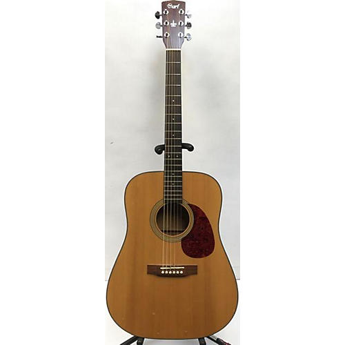 Earth 100 Acoustic Guitar