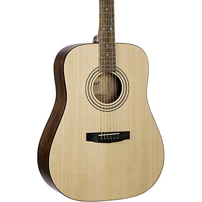 Cort Earth 60 Starter Dreadnought Acoustic Guitar Pack