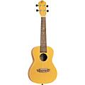 Ortega Earth Series RU Concert Ukulele SunGold