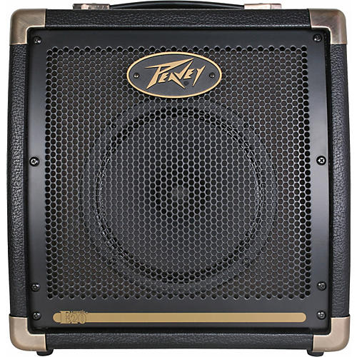 Ecoustic E20 20W 1x8 Acoustic Combo Amp