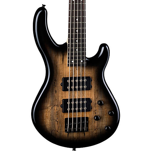 Edge 2.5 Spalt Maple 5-String Electric Bass Guitar
