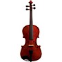 Bellafina Educator Series Viola Outfit 16 in.