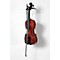 Educator Series Violin Outfit Level 2 4/4 Size 190839070265