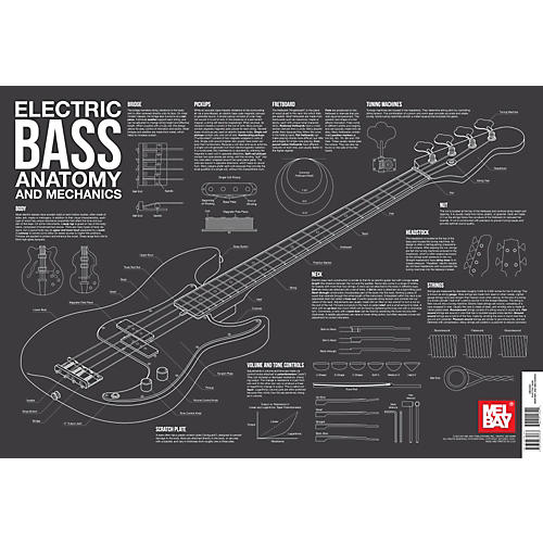 Electric Bass Anatomy and Mechanics Wall Chart