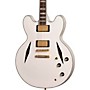 Open-Box Epiphone Emily Wolfe 