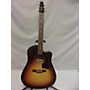 Used Seagull EntourAutumn Burst Cw Qit Acoustic Electric Guitar Autumn Burst