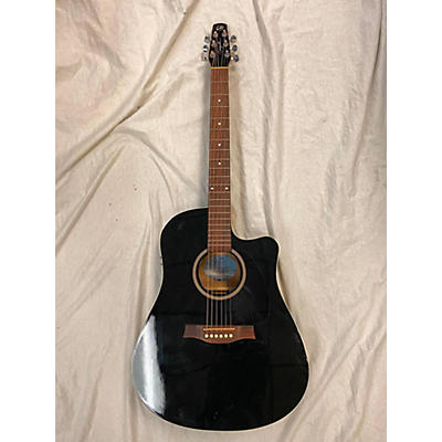 Seagull Entourace CW Acoustic Guitar
