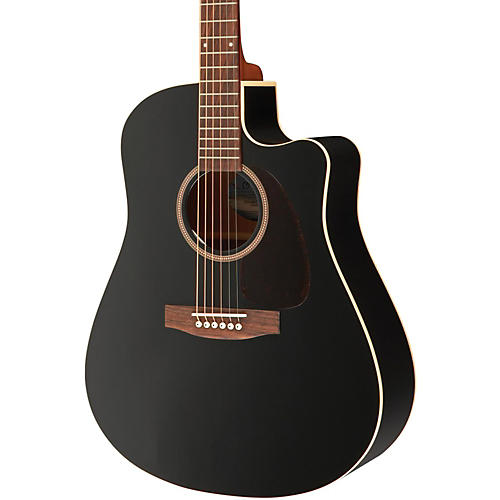 Entourage CW Black GT QIT Acoustic-Electric Guitar