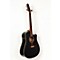 Entourage CW Black GT QIT Acoustic-Electric Guitar Level 3 Black 888365514130
