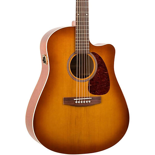 Entourage CW GT QI Acoustic-Electric Guitar