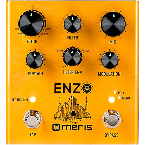 Meris Enzo Synthesizer Effects Pedal Condition 1 - Mint
