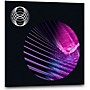 iZotope Equinox Reverb Plugin
