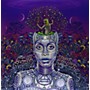 Erykah Badu - New Amerykah Part Two: Return of the Ankh