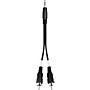 Live Wire Essential Interconnect Y-Cable 3.5 mm TRS Male to RCA Male 10 ft. Black