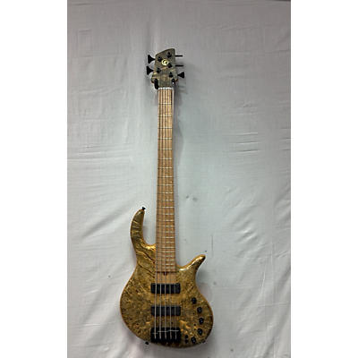 Elrick Evolution Gold V Electric Bass Guitar