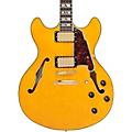 D'Angelico Excel DC Semi-Hollow Electric Guitar Amaretto BurstAmber