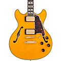 D'Angelico Excel Mini DC Semi-Hollow Electric Guitar Solid BlackAmber