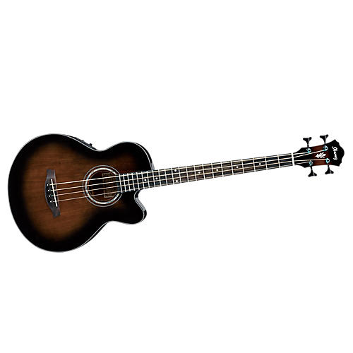 Exclusive Acoustic-Electric Bass