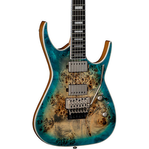 Exile Select Burled Poplar with Floyd Electric Guitar
