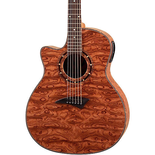 Dean deals acoustic electric