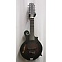 Used Gold Tone F-12 Mandolin Natural