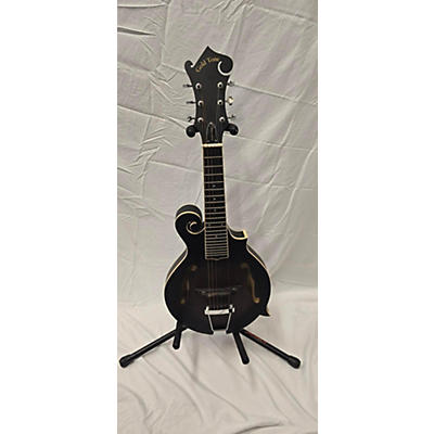 Gold Tone F-6 Mandolin