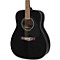 F335 Acoustic Guitar Level 1 Black