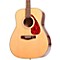 F335 Acoustic Guitar Level 1 Natural