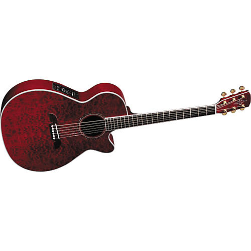 FF60WR Fusion Series Acoustic-Electric Guitar
