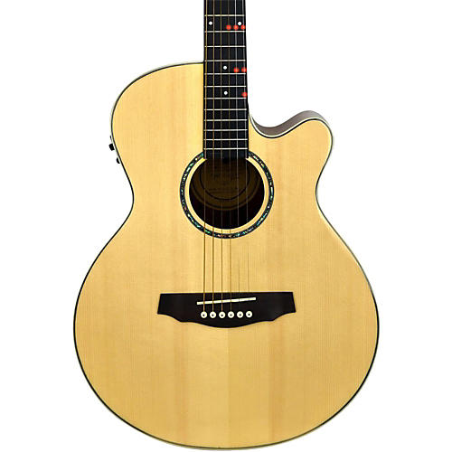 FG-529 Pro Acoustic-Electric Guitar with Built-In Lighted Learning System