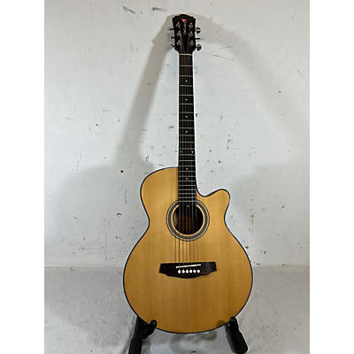 Fretlight FG-5A NL Acoustic Guitar