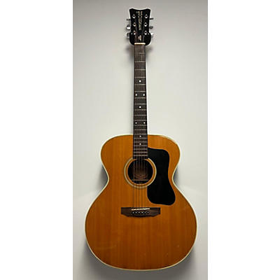 Hohner FG710 Acoustic Guitar