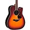 FGX730SC Solid Top Acoustic-Electric Guitar Level 1 Brown Sunburst