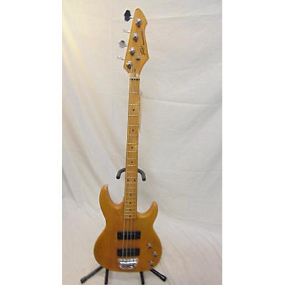 Peavey FOUNDATION Electric Bass Guitar