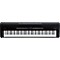 FP-80 Digital Piano Level 2 Black 888365388601