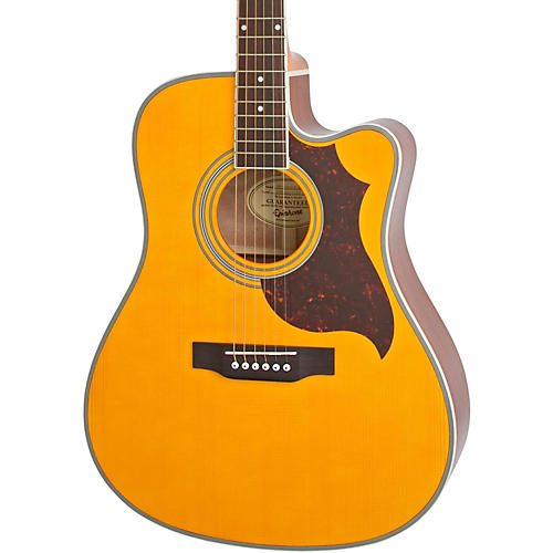 FT-350SCE Acoustic-Electric Guitar with Min-Etune