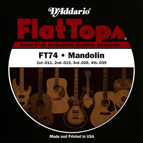 FT74 Flat Tops Phosphor Bronze Mandolin Strings Medium