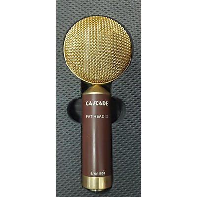 Cascade Fat Head II Ribbon Microphone