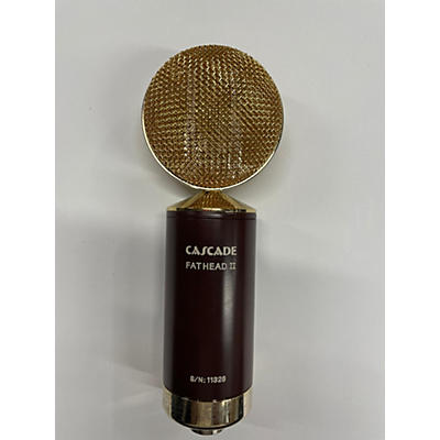 Cascade Fathead II Ribbon Microphone