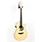 Fauna Butterfly Acoustic-Electric Guitar Level 3 Transparent Natural 888365317816