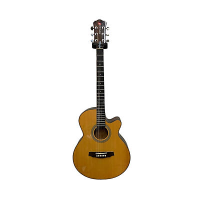 Fretlight Fg5a Acoustic Guitar