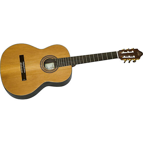 Fiesta FC Classical Guitar