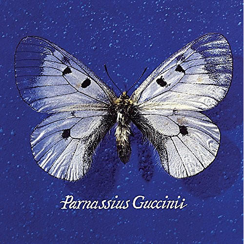 Francesco Guccini - Parnassius Guccinii