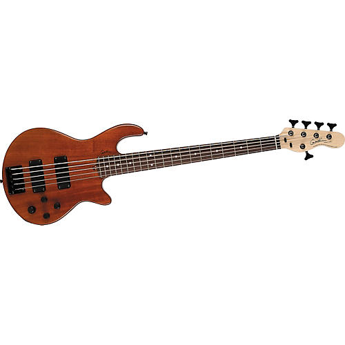 Freeway 5 Active 5-String Bass